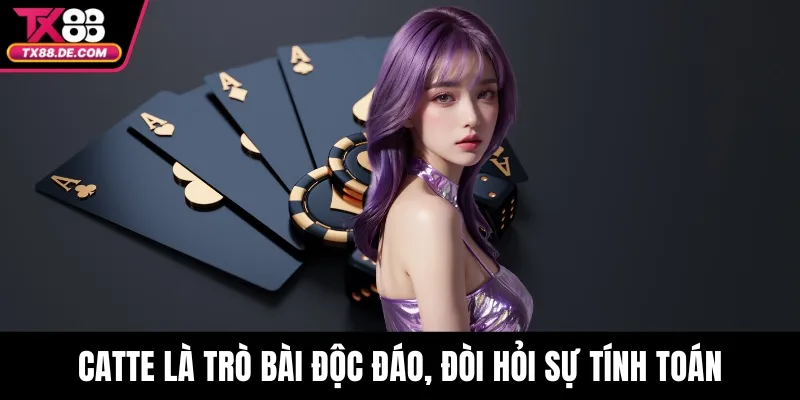 Catte là trò bài độc đáo, đòi hỏi sự tính toán