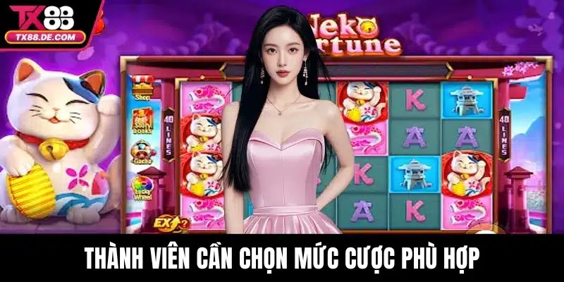 Thành viên cần chọn mức cược phù hợp