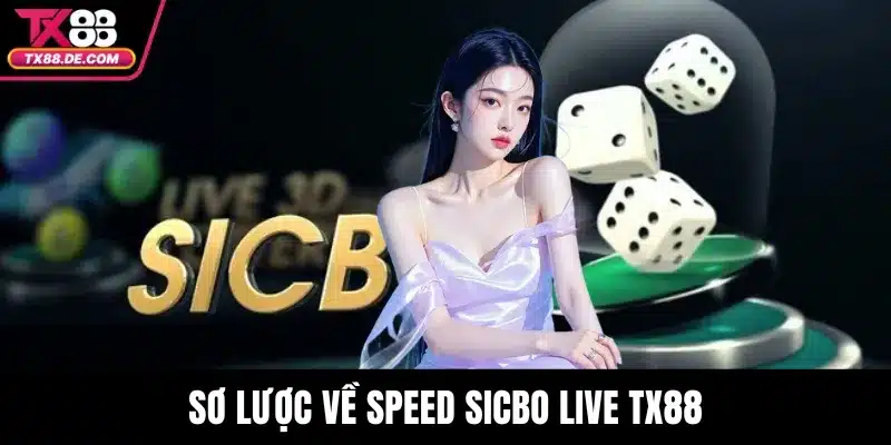 Sơ lược về Speed Sicbo Live TX88