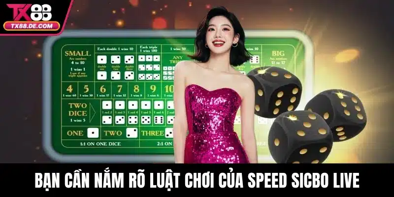 Bạn cần nắm rõ luật chơi của Speed Sicbo Live