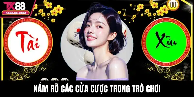 Nắm rõ các cửa cược trong trò chơi